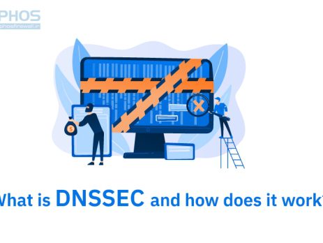 تعریف dnssec